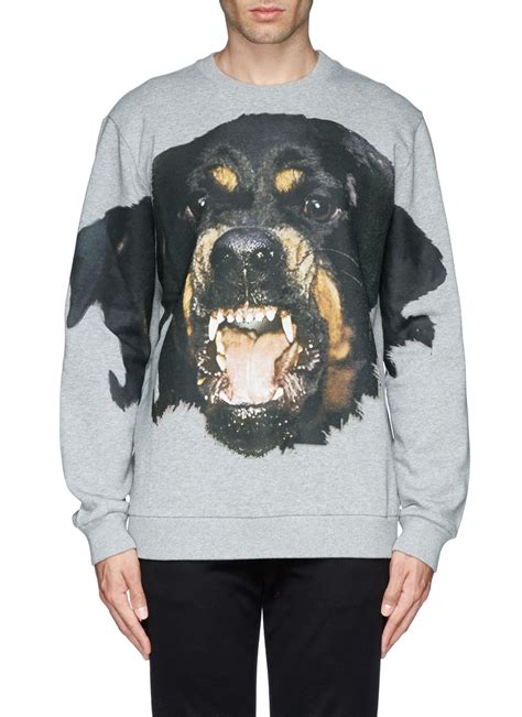 givenchy rottweiler sweatshirt replica|givenchy rottweiler print sweatshirt.